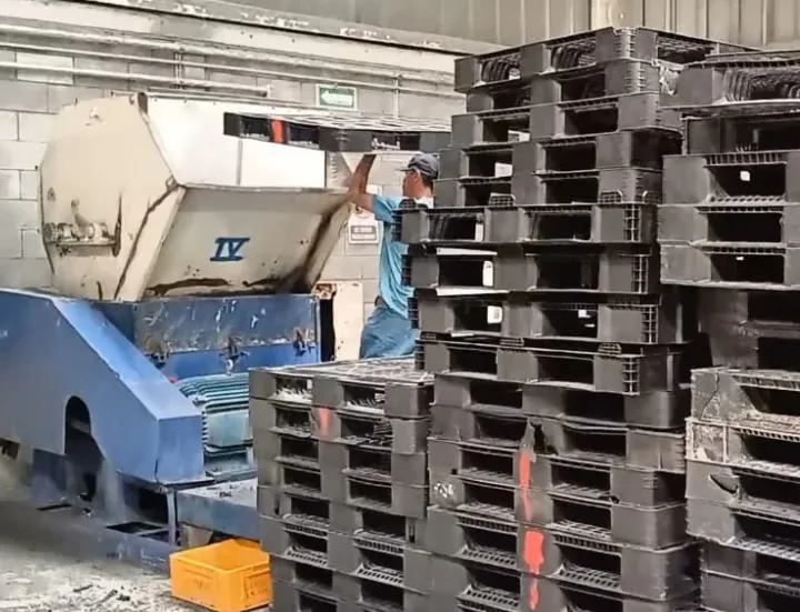 Procesamiento de scrap plástico en Regio Plastic Solutions